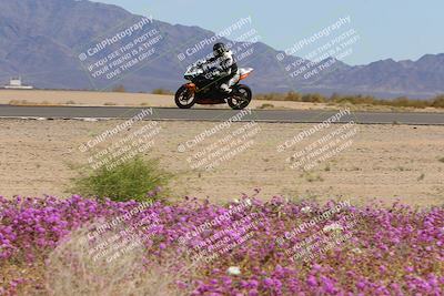 media/Mar-12-2023-SoCal Trackdays (Sun) [[d4c8249724]]/Turn 15 Inside Bloom (130pm)/